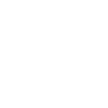 linkedin icon